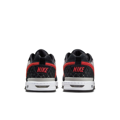 Paul Rodriguez Zoom Air Low